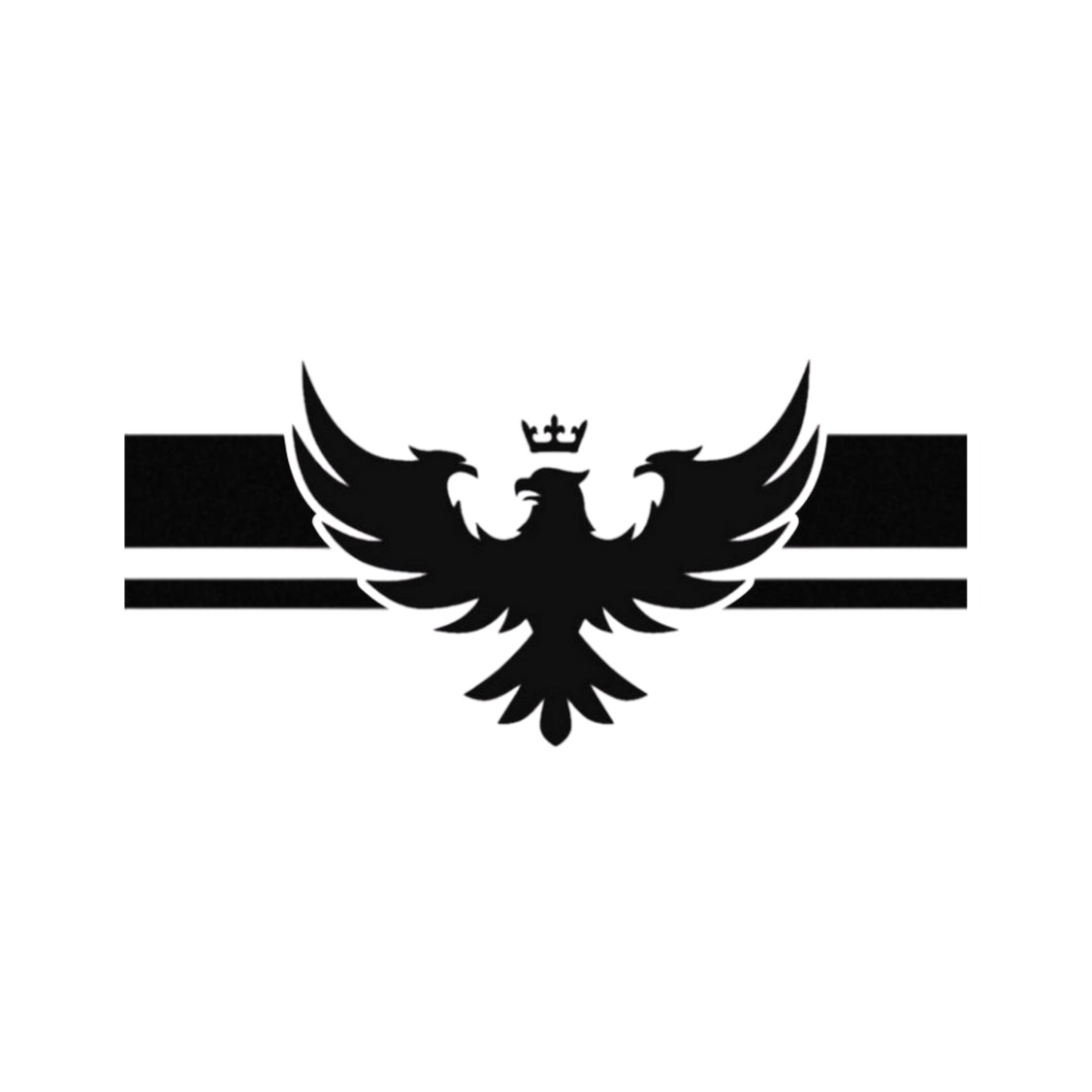 Eagle 13 | Birds | Customized Sticker BD