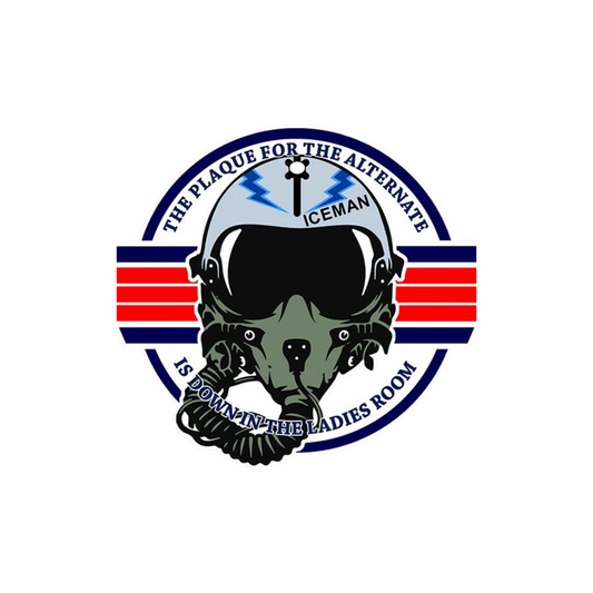 Air Force Sticker | Air  Force | Customized Sticker BD