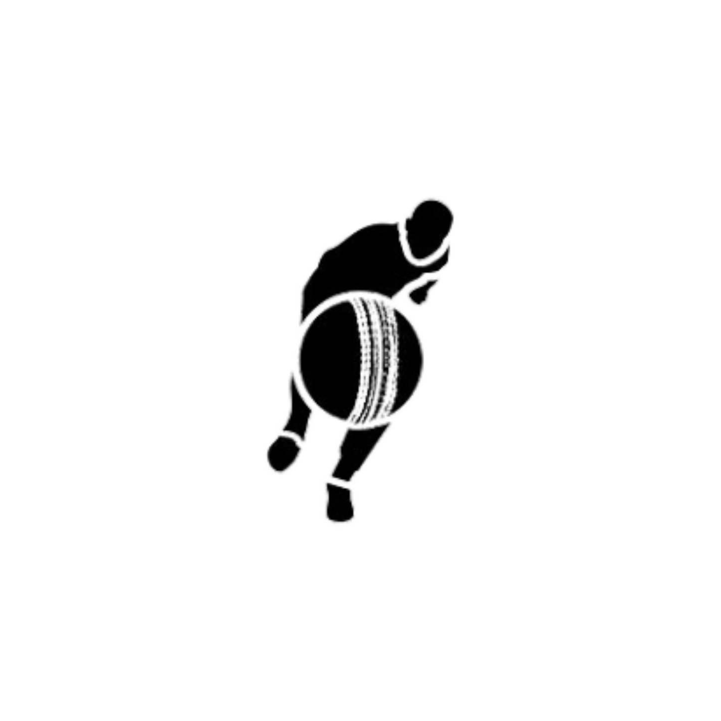 Cricket Sticker Set | Sticker | cricket