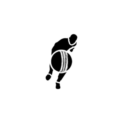 Cricket Sticker Set | Sticker | cricket