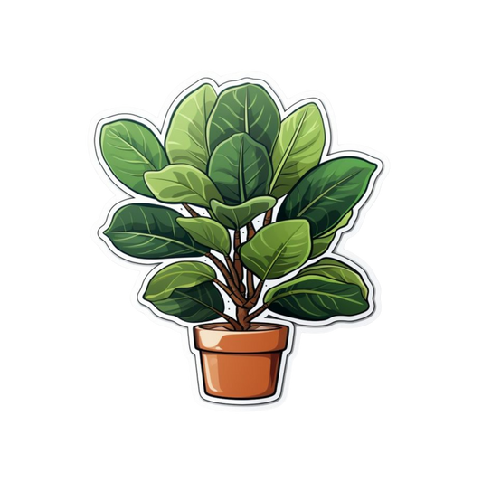 Fiddle Leaf Fig Plant Sticker | Houseplant Sticker BD