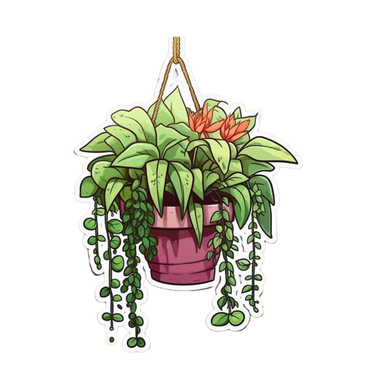 Hanging Planter Plant Sticker | Houseplant Sticker BD
