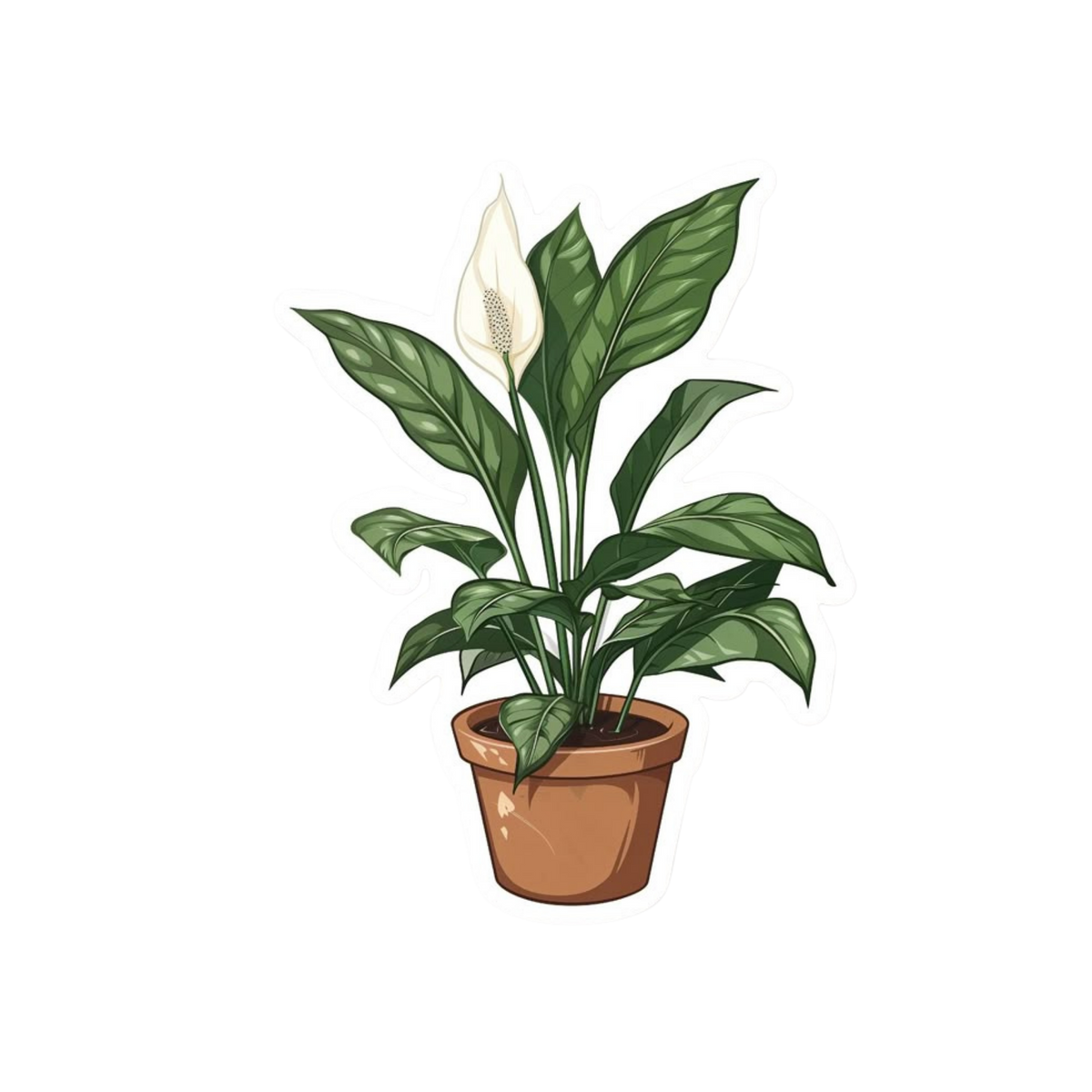 Peace Lily Plant Sticker | Houseplant Sticker BD