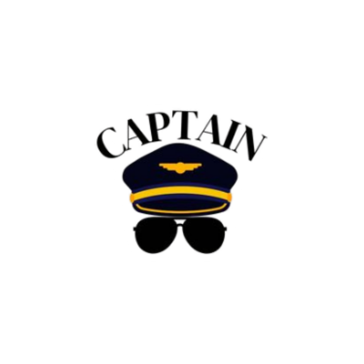 Captain Pilot Aviator Sticker | Air Force | Customized Sticker BD