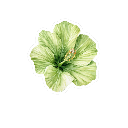 Green Hibiscus Flower Sticker | Floral Sticker BD