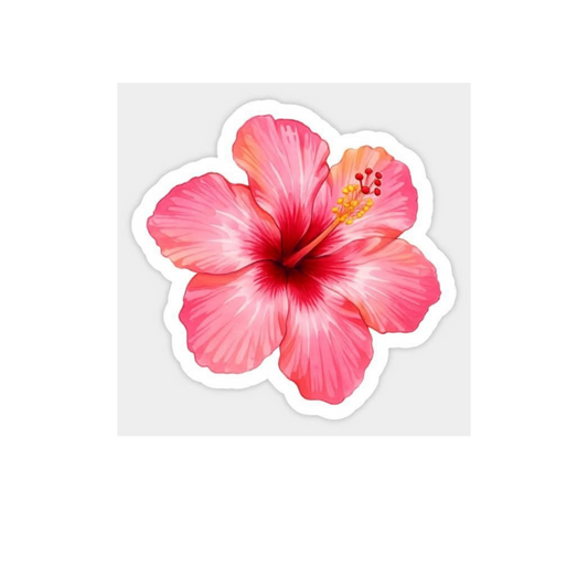 Pink Hibiscus Flower Sticker | Tropical Floral Sticker BD