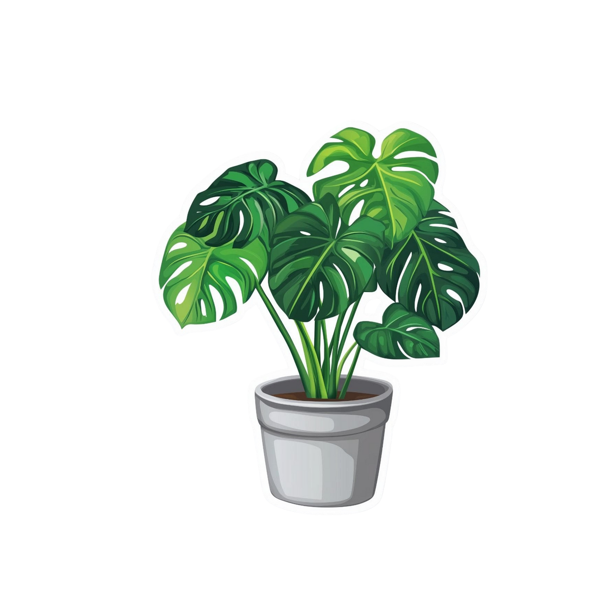 Green Monstera Plant Sticker | Customized Sticker BD