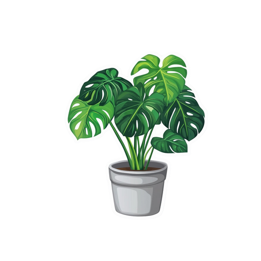 Green Monstera Plant Sticker | Customized Sticker BD