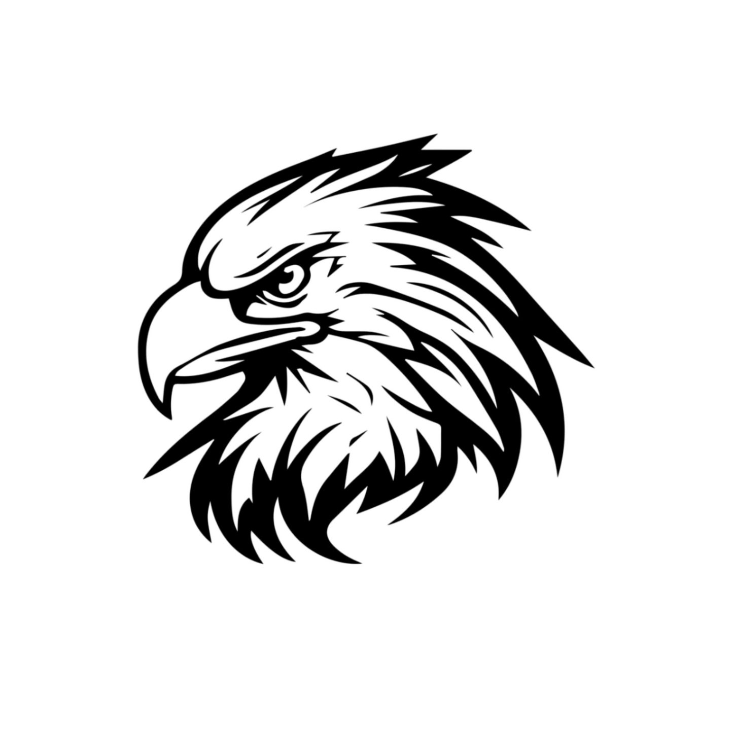 Eagle 4 | Birds | Customized Sticker BD