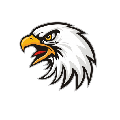 Eagle Set | Birds | Customized Sticker BD