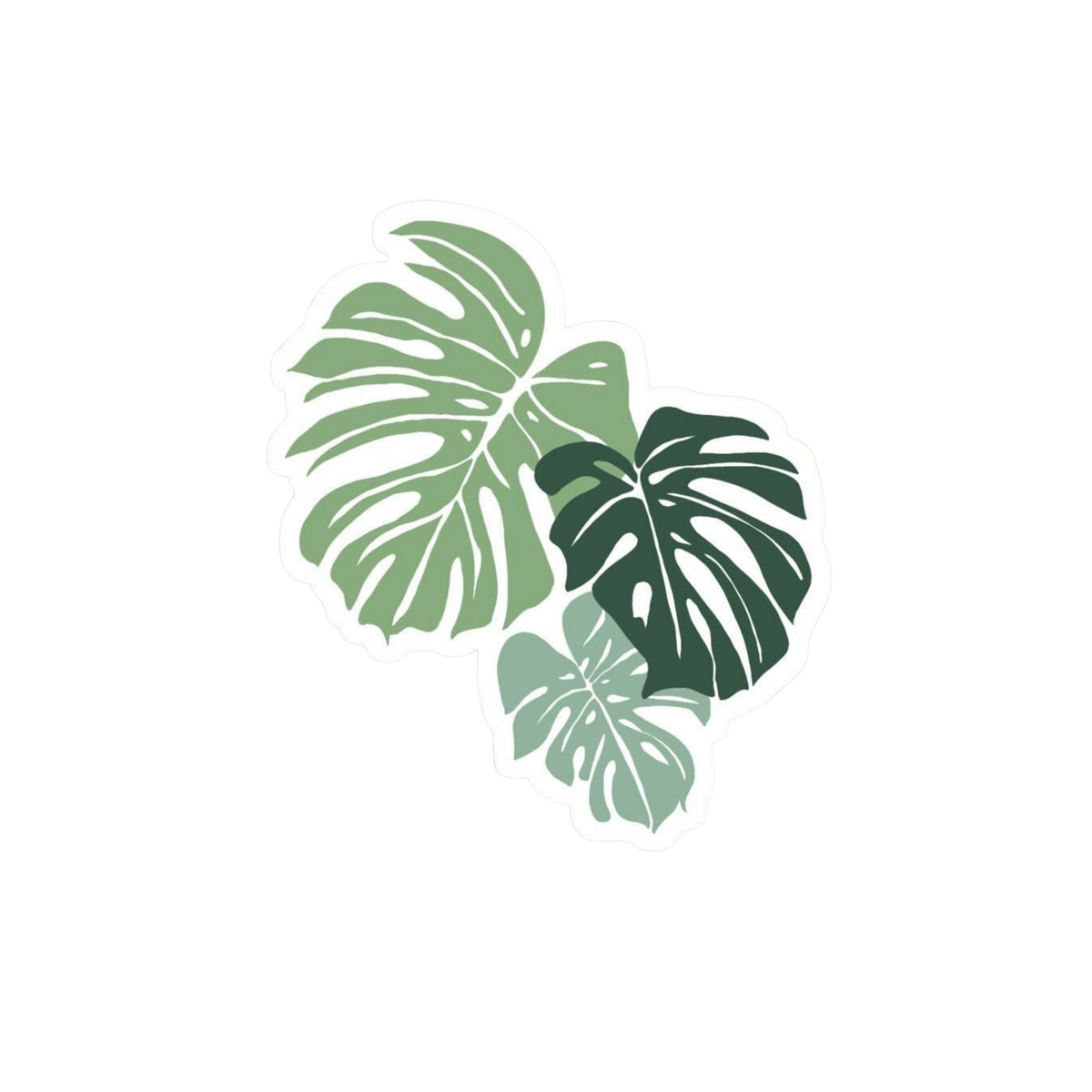 Monstera Leaf Sticker | Green Tropical Leaf Sticker BD