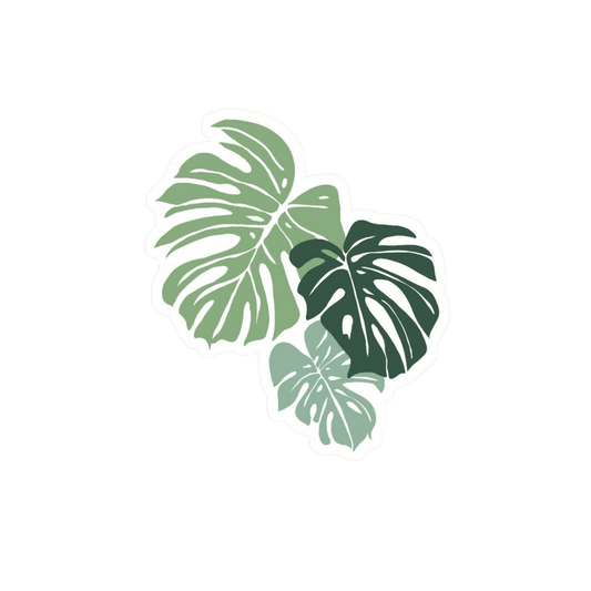 Monstera Leaf Sticker | Green Tropical Leaf Sticker BD