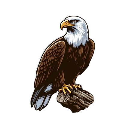 Eagle Set | Birds | Customized Sticker BD