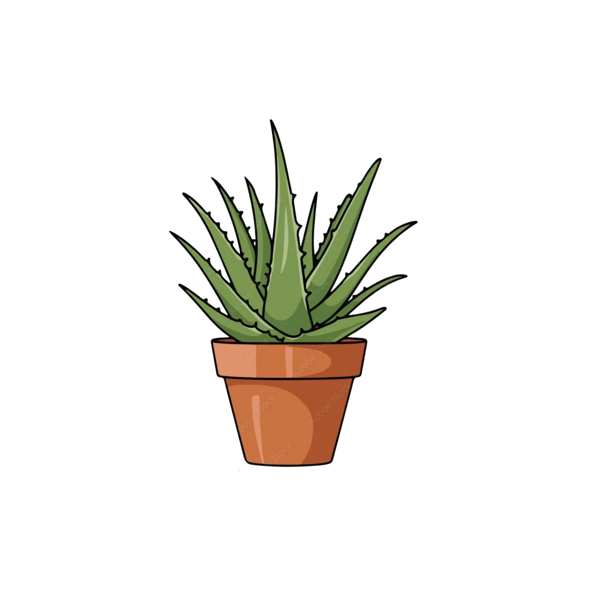 Aloe Vera Plant Sticker | Cute Succulent Sticker BD