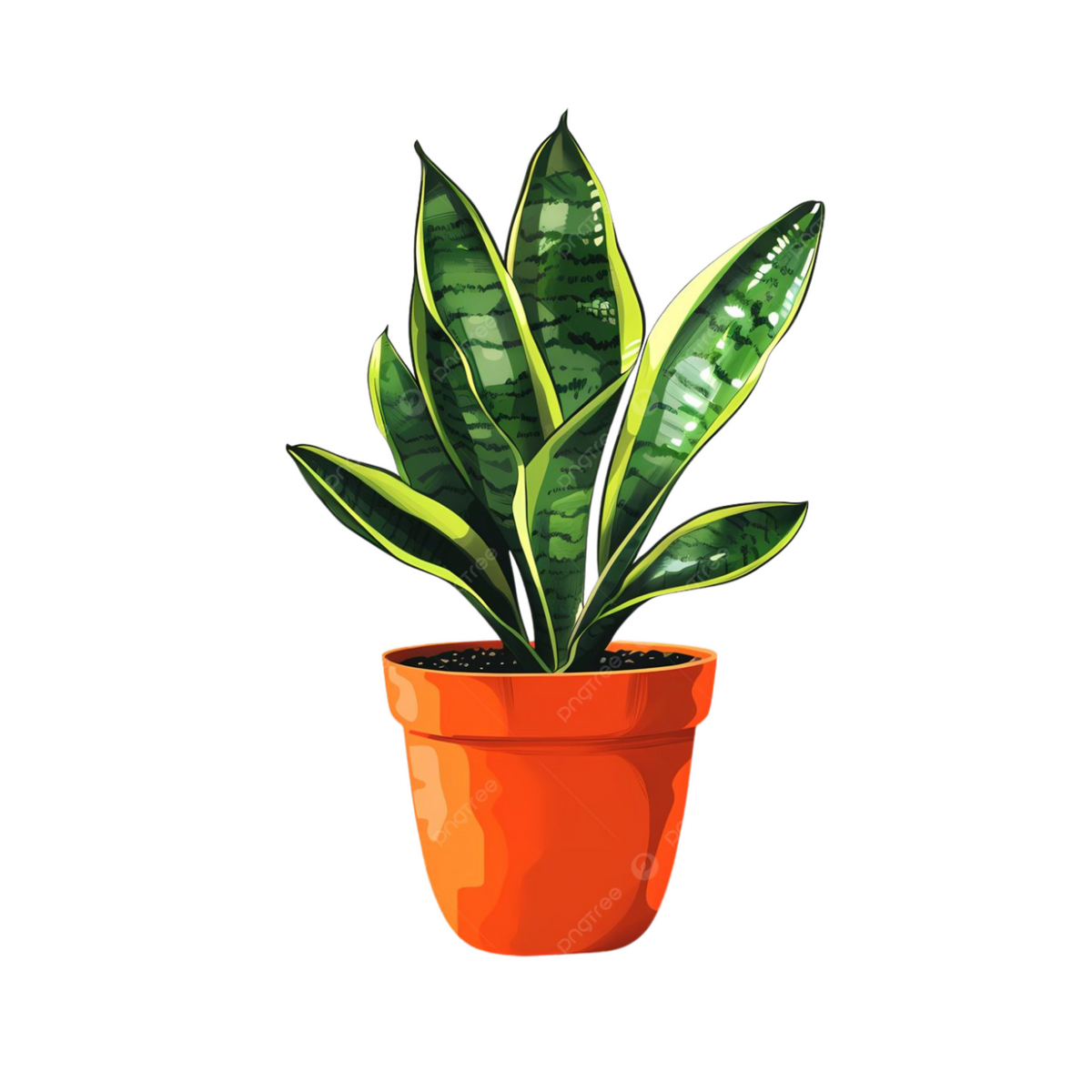 Snake Plant Sticker | Indoor Sansevieria Plant Sticker BD