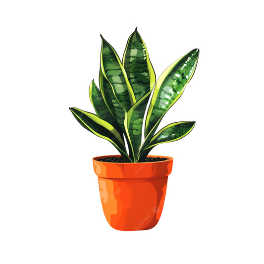 Snake Plant Sticker | Indoor Sansevieria Plant Sticker BD