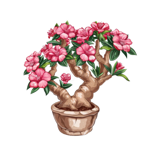Adenium Plant Bonsai Sticker | Customized Sticker BD
