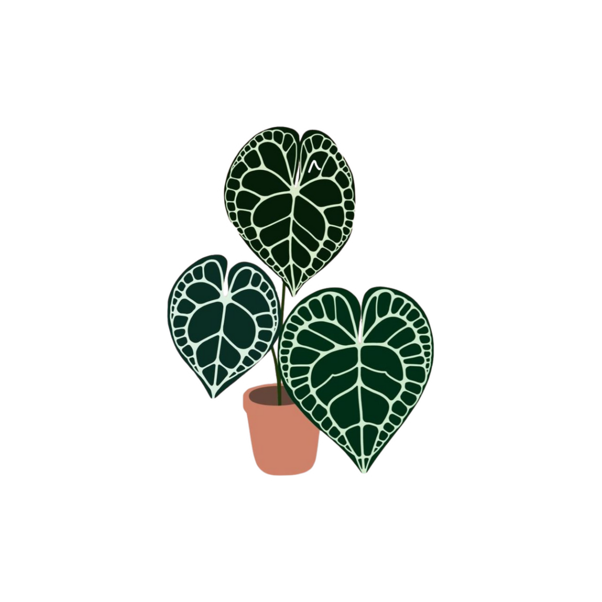 Heart Leaf Plant Sticker | Indoor Plant Sticker BD