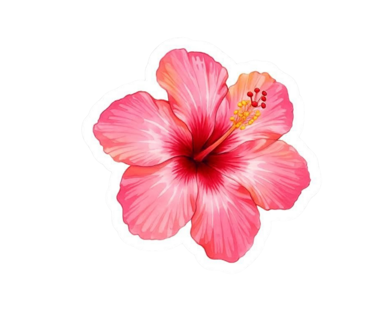 Pink Girl Sticker 6 | Customized Sticker BD