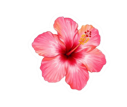 Pink Girl Sticker 6 | Customized Sticker BD