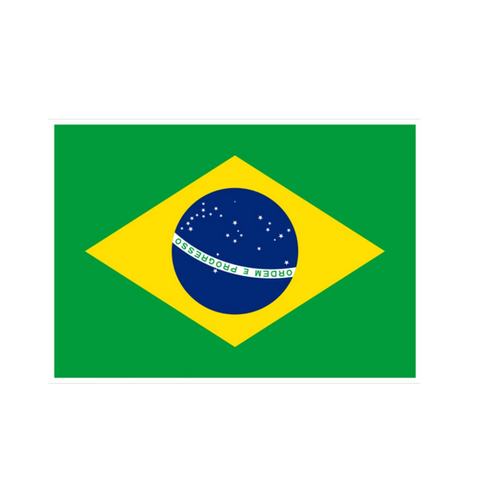 Brazil Sticker 17 | FC Brazil | Customized Sticker BD