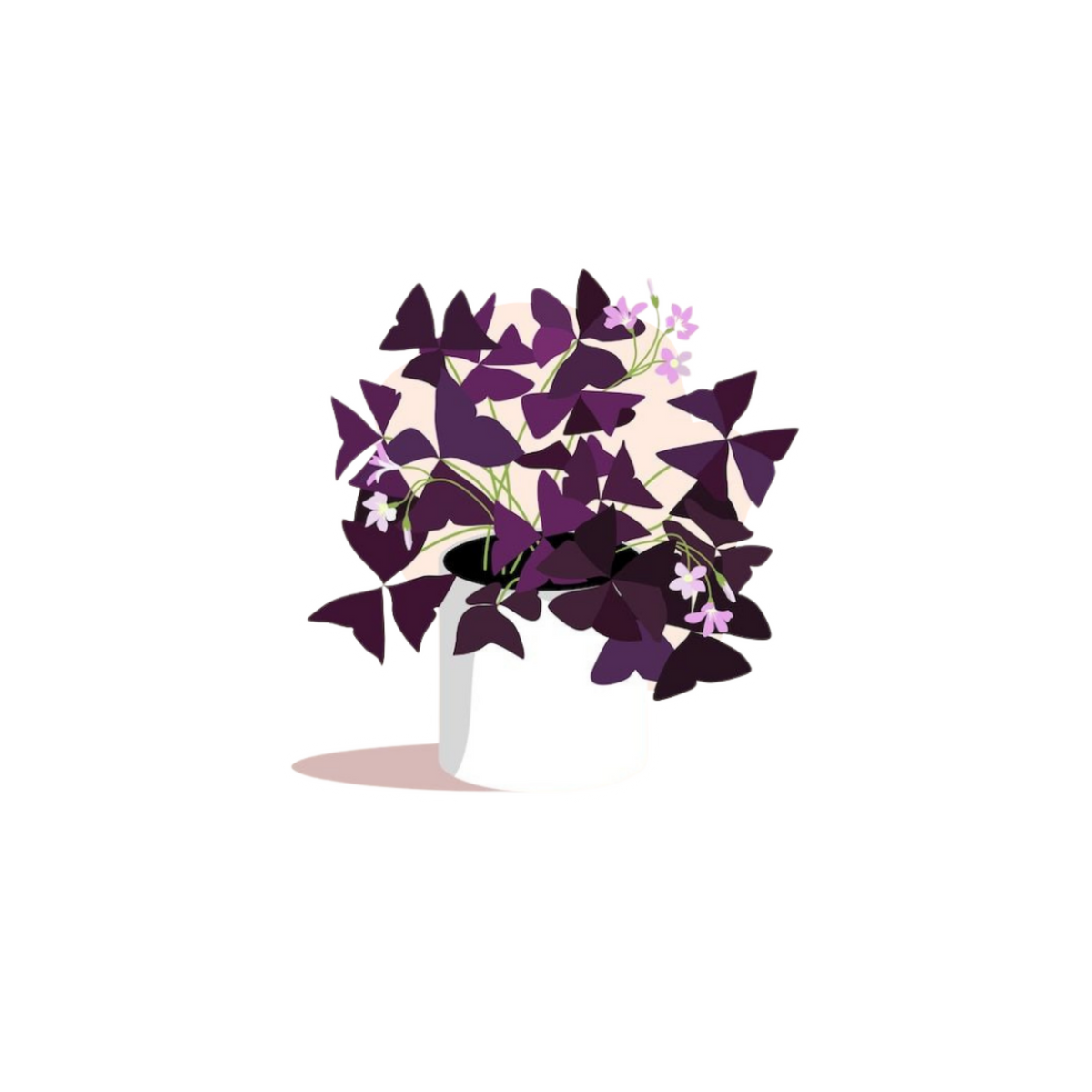 Purple Leaf Plant Sticker | Flowering Indoor Plant BD