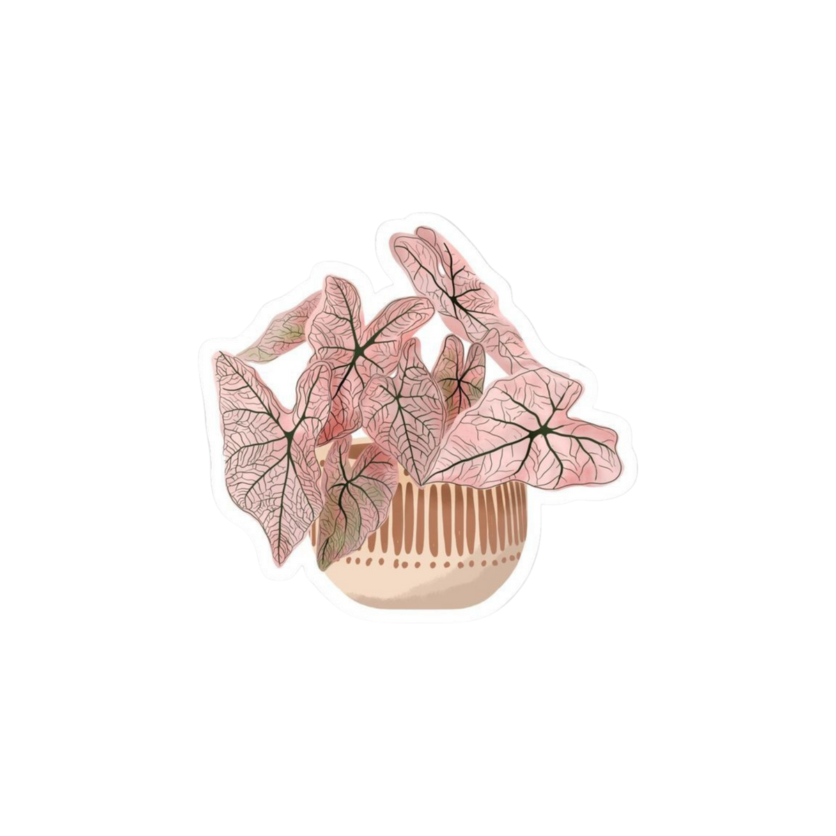 Pink Caladium Plant Sticker | Customized Sticker BD