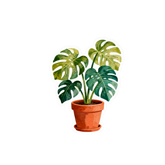 Variegated Monstera Plant Sticker | Customized Sticker BD