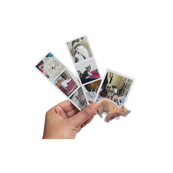 📸 Create Your Polaroids & Photo Strips